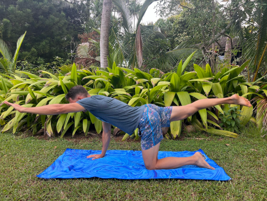 Physicist demonstrating bird dog exercises